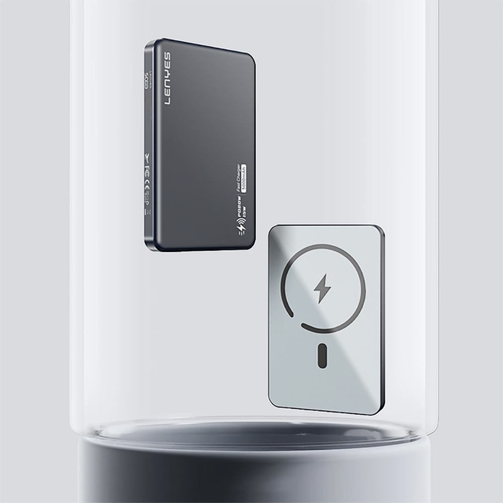 پاور بانک LENYES POWERBANK 10000 PW119D