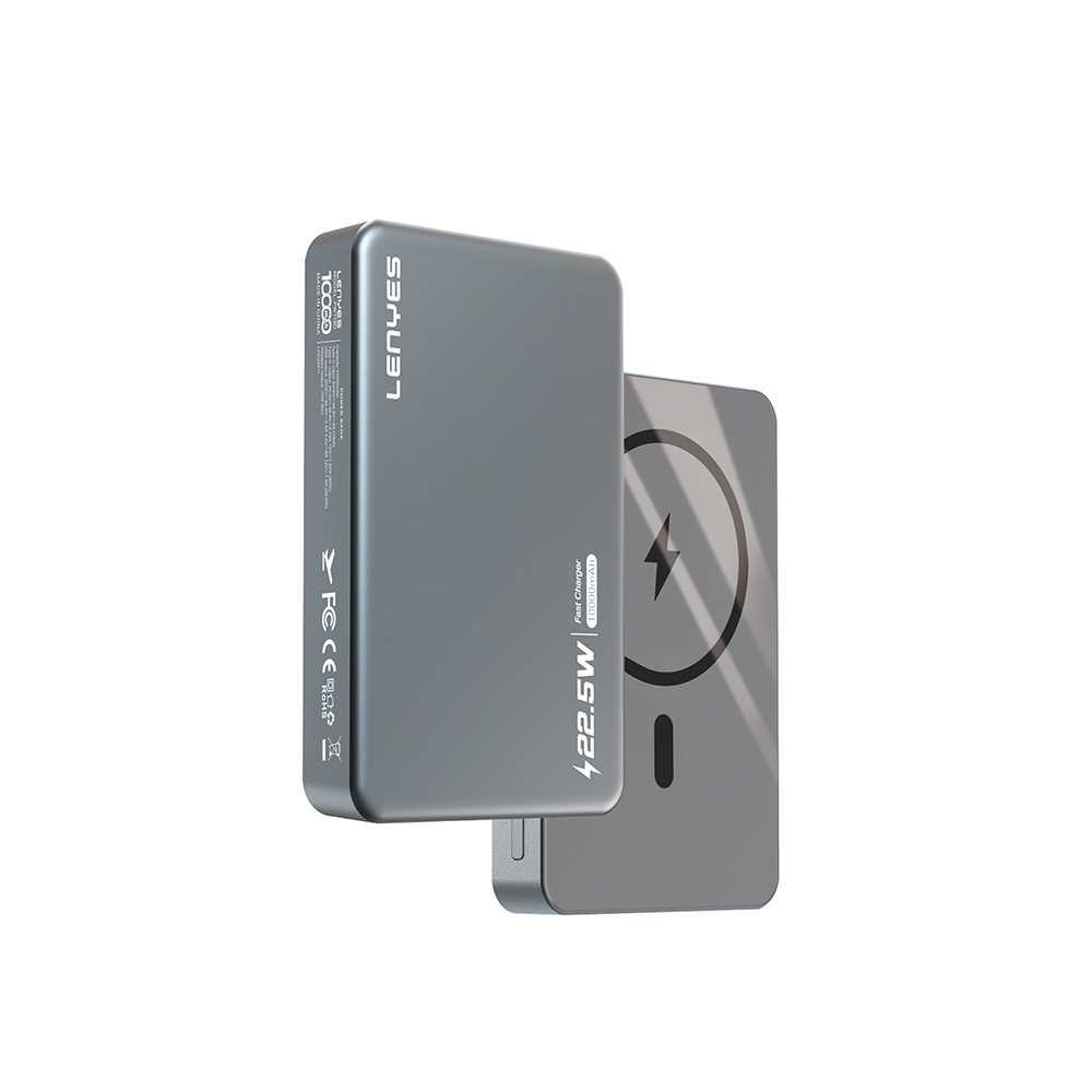 پاور بانک LENYES POWERBANK 10000 PW119D